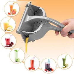 Che Heavy Duty Press Juicer